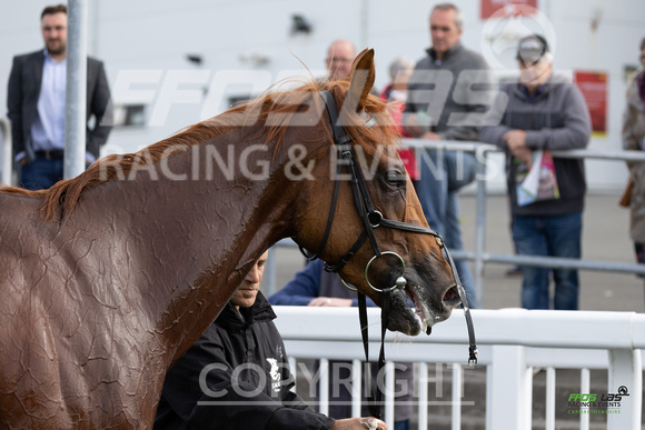 Ffos Las - 25th September 2022 - Race 3 -  Large-15