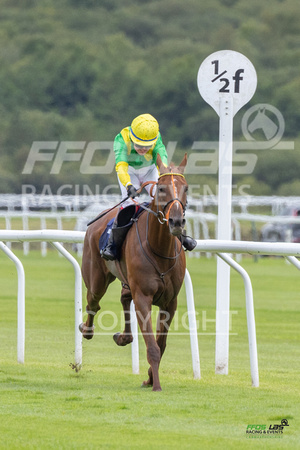 Race 1 - Ladies Day At  Ffos Las - 25th Aug 23 -5
