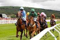 Race 1 - Ladies Day At  Ffos Las - 25th Aug 23 -3