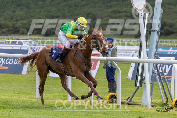 Race 1 - Ladies Day At  Ffos Las - 25th Aug 23 -7