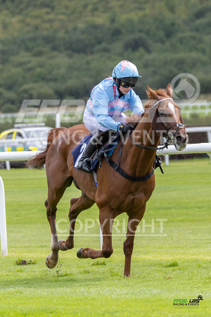 Race 1 - Ladies Day At  Ffos Las - 25th Aug 23 -9
