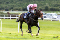 Race 1 - Ladies Day At  Ffos Las - 25th Aug 23 -10