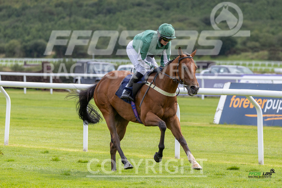 Race 1 - Ladies Day At  Ffos Las - 25th Aug 23 -12