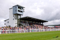 Race 1 - Ladies Day At  Ffos Las - 25th Aug 23 -13