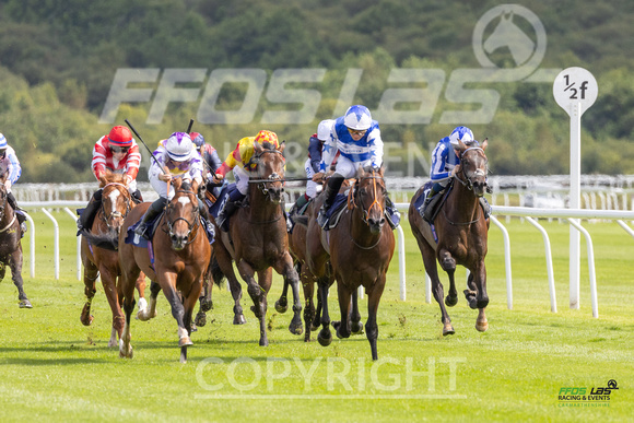 Race 2 - Ladies Day At  Ffos Las - 25th Aug 23 -5