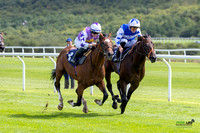 Race 2 - Ladies Day At  Ffos Las - 25th Aug 23 -6