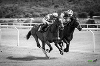 Race 2 - Ladies Day At  Ffos Las - 25th Aug 23 -7