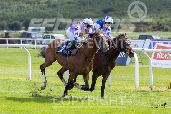 Race 2 - Ladies Day At  Ffos Las - 25th Aug 23 -8