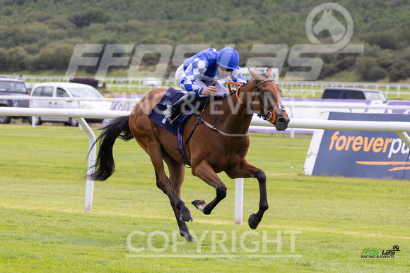 Race 3 - Ladies Day At  Ffos Las - 25th Aug 23 -2