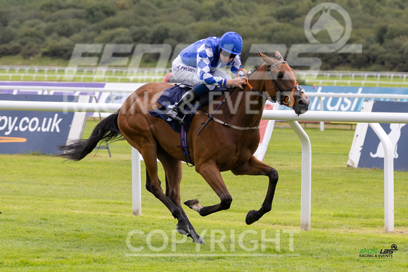 Race 3 - Ladies Day At  Ffos Las - 25th Aug 23 -3