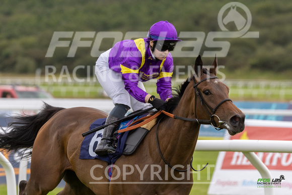 Race 4 - Ladies Day At  Ffos Las - 25th Aug 23 -5