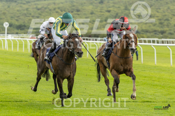 Race 5 - Ladies Day At  Ffos Las - 25th Aug 23 -6