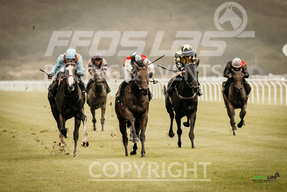 Race 6 - Ladies Day At  Ffos Las - 25th Aug 23 -1