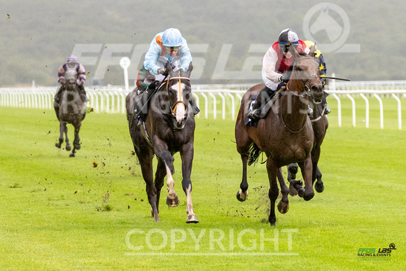Race 6 - Ladies Day At  Ffos Las - 25th Aug 23 -3