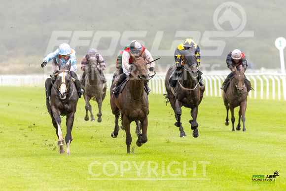 Race 6 - Ladies Day At  Ffos Las - 25th Aug 23 -2
