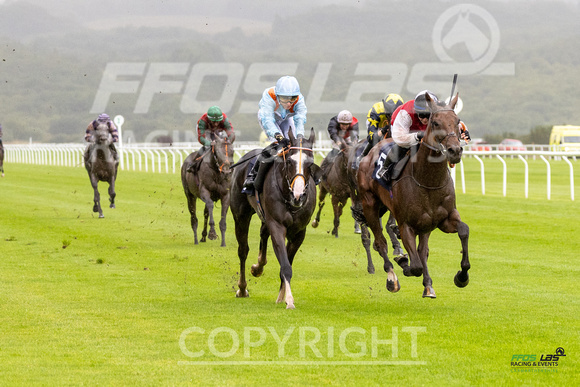 Race 6 - Ladies Day At  Ffos Las - 25th Aug 23 -4