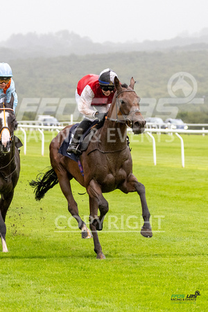 Race 6 - Ladies Day At  Ffos Las - 25th Aug 23 -7
