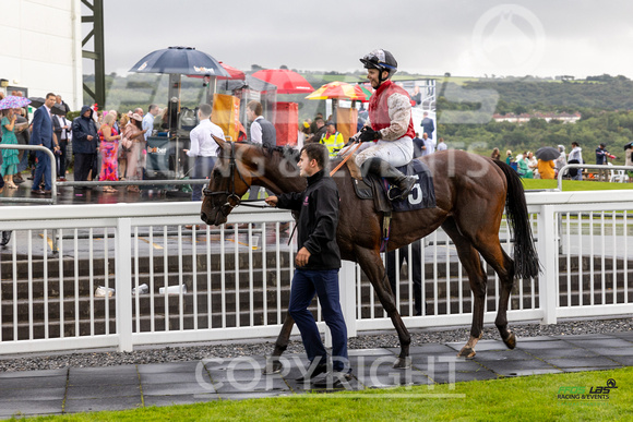 Race 6 - Ladies Day At  Ffos Las - 25th Aug 23 -9