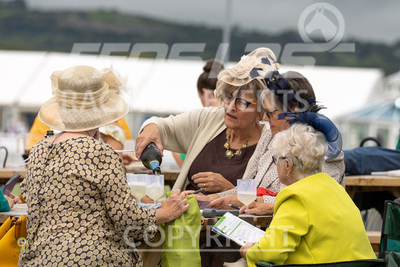 Ladies Day At  Ffos Las - 25th Aug 23 -82
