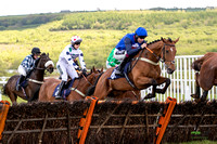 Ffos Las - 17th May 21 - Race 2  -  Large-2
