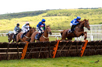 Ffos Las - 17th May 21 - Race 2  -  Large-1