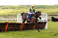 Ffos Las - 17th May 21 - Race 2  -  Large-4