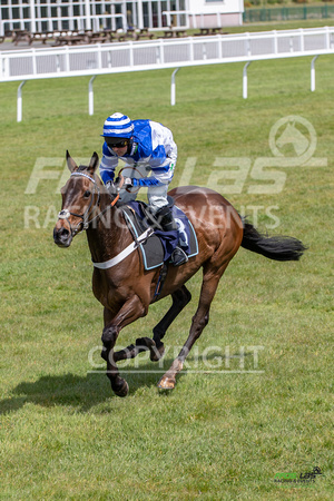 Ffos Las - 17th May 21 - Race 3  -  Large-6