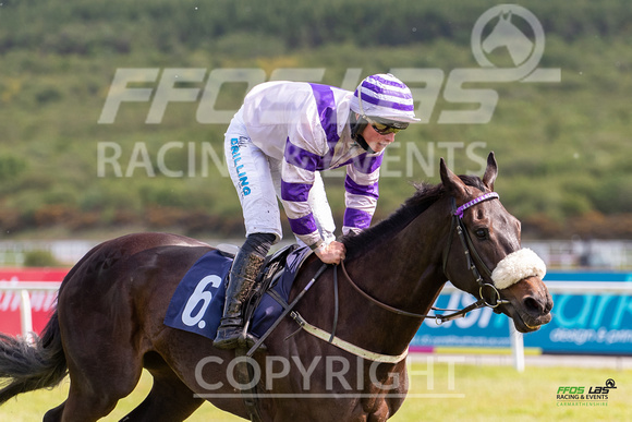 Ffos Las - 17th May 21 - Race 6  -  Large-12