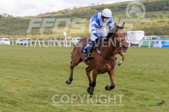 Ffos Las - 17th May 21 - Race 7  -  Large- (9)