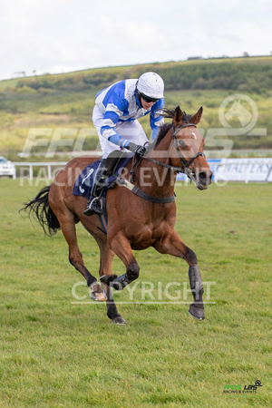 Ffos Las - 17th May 21 - Race 7  -  Large- (10)