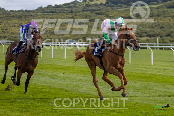 Ffos Las - 25th September 2022 - Race 3 -  Large-11