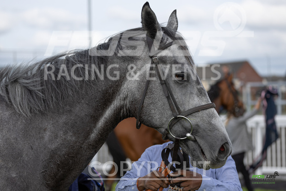 Ffos Las - 25th September 2022 - Race 4 -  Large-10