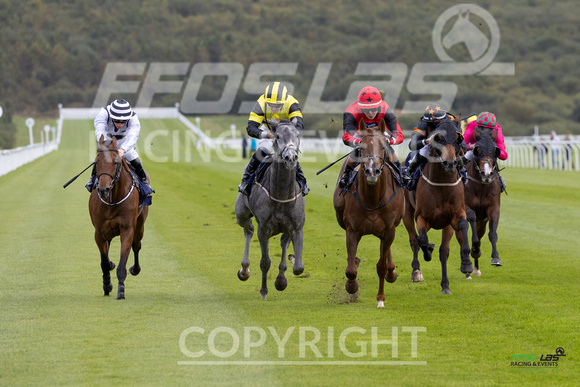 Ffos Las - 25th September 2022 - Race 2 -  Large-8