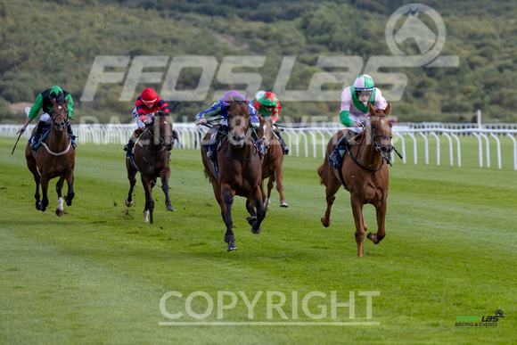 Ffos Las - 25th September 2022 - Race 3 -  Large-8