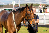 Ffos Las - 5th July 2022  -  Race 1 - Large -18