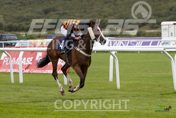Ffos Las - 25th September 2022 - Race 1 -  Large-19