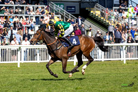 Ffos Las - 6th April 25 - Race 2-7