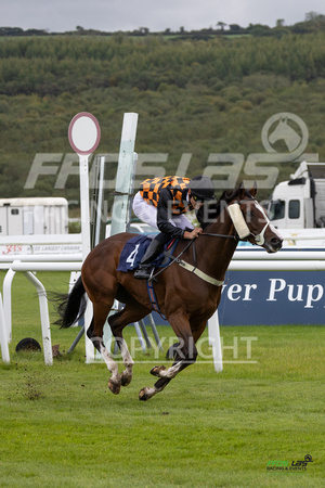 Ffos Las - 25th September 2022 - Race 1 -  Large-23