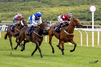 Ffos Las - 23rd June 24 - 15th Birthday - Race 1  (16 of 24)