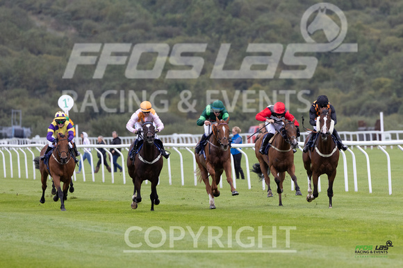 Ffos Las - 25th September 2022 - Race 1 -  Large-9