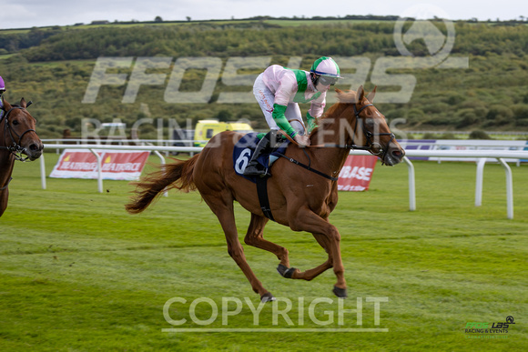 Ffos Las - 25th September 2022 - Race 3 -  Large-12