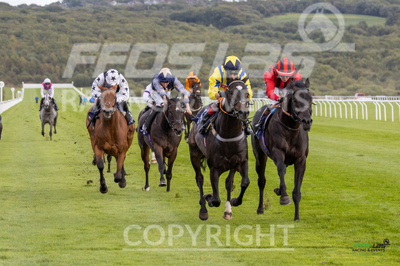 Ffos Las - 25th September 2022 - Race 7 -  Large-11