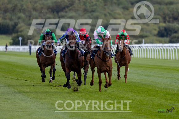 Ffos Las - 25th September 2022 - Race 3 -  Large-5