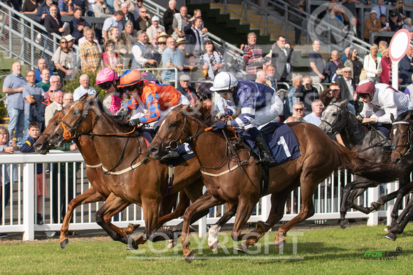 Ffos Las - 5th July 2022  -  Race 1 - Large -9