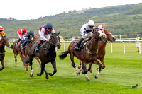 Ffos Las - 26th August 21 - Race 1 - Large-10