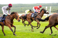 Ffos Las - 26th August 21 - Race 1 - Large-15