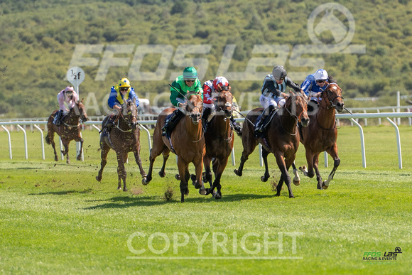 Ffos Las - 27th August 21 - Race 2 - Large-5