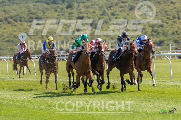 Ffos Las - 27th August 21 - Race 2 - Large-6