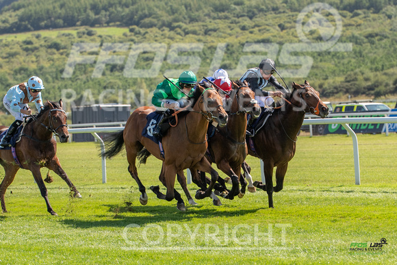 Ffos Las - 27th August 21 - Race 2 - Large-7
