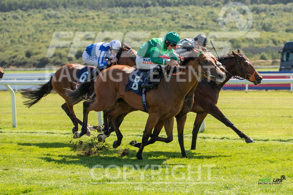 Ffos Las - 27th August 21 - Race 2 - Large-8